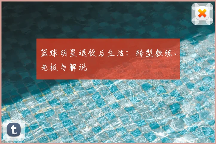 篮球明星退役后生活:转型教练、老板与解说